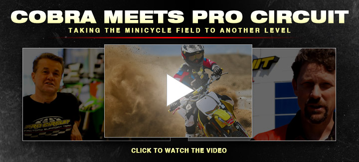 Cobra Meets Pro Circuit