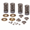 VALVE SPRING KIT RM-Z250 2007-2013