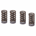 VALVE SPRINGS KX450F 2006-2013