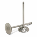 Titanium Intake Valves<br/>CRF250R/X 2004-2009