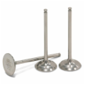 Titanium Intake Valves<br/>YZ450F 2005-2009