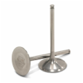 Titanium Intake Valves<br/>RM-Z450 2007
