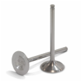 TITANIUM EXHAUST VALVES RM-Z450 2007