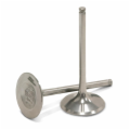 TITANIUM INTAKE VALVES RM-Z450 2008-2011