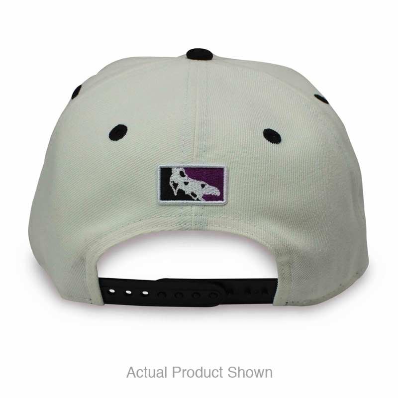 PC Chrome Black Snapback