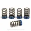 VALVE SPRINGS, YZ250F '01-09, WR250F '01-09