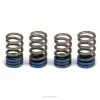 VALVE SPRINGS, YZ250F '14-16
