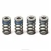 VALVE SPRINGS, YZ250F '17-18
