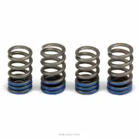 VALVE SPRINGS, YZ250F '14-16