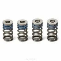 VALVE SPRINGS, YZ250F '17-18