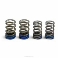 VALVE SPRINGS, YZ250F 19-24