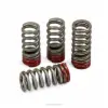 VALVE SPRINGS, CRF250R '16-17
