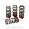 VALVE SPRINGS, CRF150R '07-26