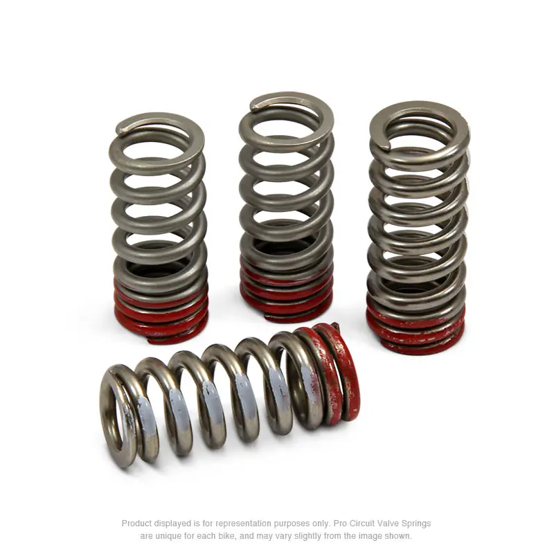 VALVE SPRINGS, CRF450R '09-16