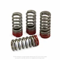 VALVE SPRINGS, CRF450R '09-16