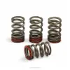 VALVE SPRINGS CRF250 18-20