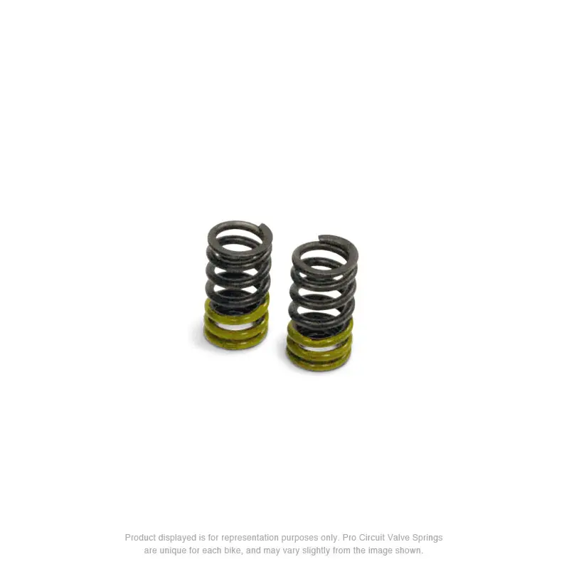 VALVE SPRINGS, KLX110 '02-'26