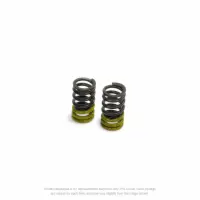 VALVE SPRINGS, KLX110 '02-'26
