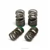 VALVE SPRINGS, KX250F 20-24