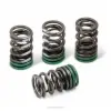 VALVE SPRINGS, KX450F 19-25