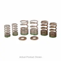 VALVE SPRINGS, KX250F 2025