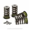 VALVE SPRING KIT, RMZ250 '16