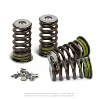 VALVE SPRING KIT, RMZ250 '16