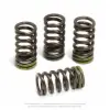 VALVE SPRINGS, RMZ250 '16