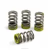 VALVE SPRINGS, RMZ250  2019-25