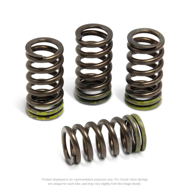 VALVE SPRINGS, RMZ450 '08-25
