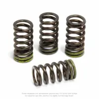 VALVE SPRINGS, RMZ450 '08-25