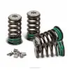 VALVE SPRING KIT, KX250F '04-16