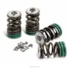 VALVE SPRING KIT, KX450F '06-18, KFX450R '08