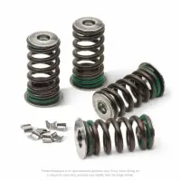 VALVE SPRING KIT, KX250F '17-19