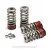 VALVE SPRING KIT, CRF450R '09-16