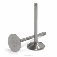 TITANIUM EXHAUST VALVES, RMZ450 '08-25