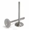 TITANIUM EXHAUST VALVES RM-Z450 2007