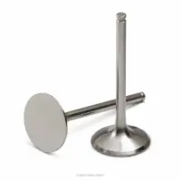 TITANIUM EXHAUST VALVES KX450F 19-24