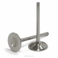 TITANIUM EXHAUST VALVES, KX450F '09-15