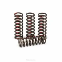 CLUTCH SPRINGS, CRF450R '09-12