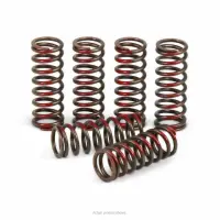CLUTCH SPRINGS, CRF450R '02-08