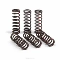CLUTCH SPRINGS, CRF450R '21-22