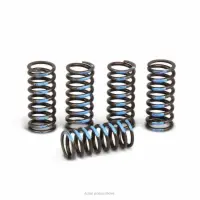 CLUTCH SPRINGS, YZ250F '01-13