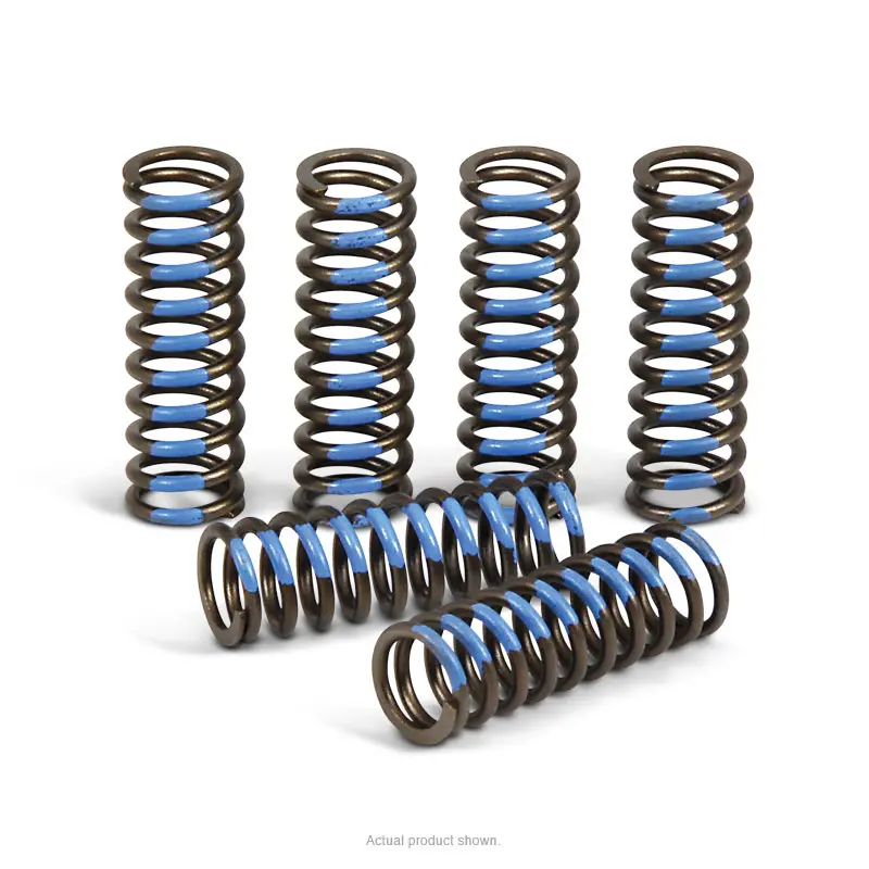 CLUTCH SPRINGS, YZ450F '05-09