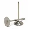 TITANIUM INTAKE VALVES CRF450X 2005-2007