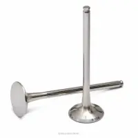 TITANIUM EXHAUST VALVES, CRF250R '16-17