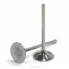 TITANIUM EXHAUST VALVES CRF450R 2002-2006