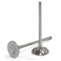 TITANIUM EXHAUST VALVES CRF250R 2008-2009