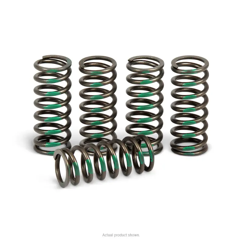 CLUTCH SPRINGS, KX450F '06-20
