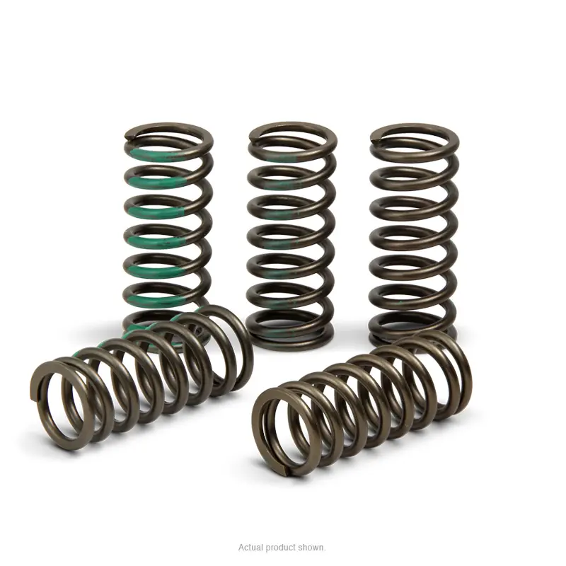 CLUTCH SPRINGS, KX450F '06-20